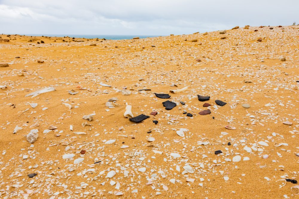 SANPARKS - Addo Elephant NP - Alexandria Dune Field Shell Middens-251016-12