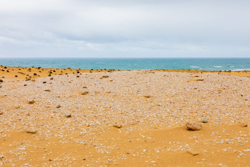 SANPARKS - Addo Elephant NP - Alexandria Dune Field Shell Middens-251016-18