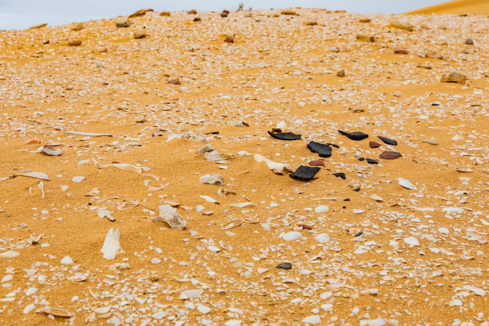 SANPARKS - Addo Elephant NP - Alexandria Dune Field Shell Middens-251016-2