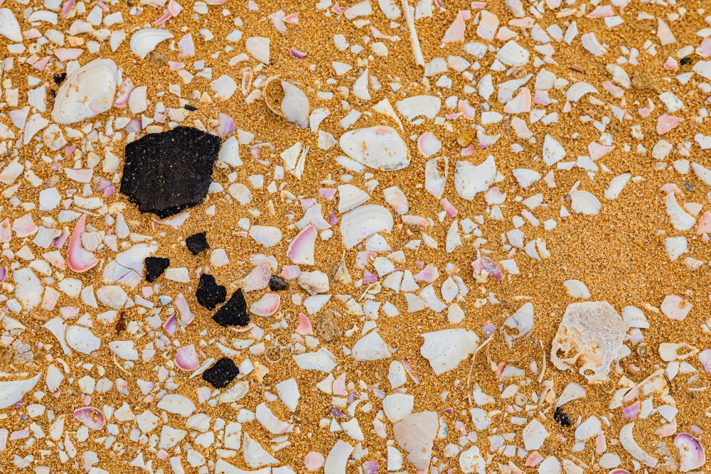 SANPARKS - Addo Elephant NP - Alexandria Dune Field Shell Middens-251016-34
