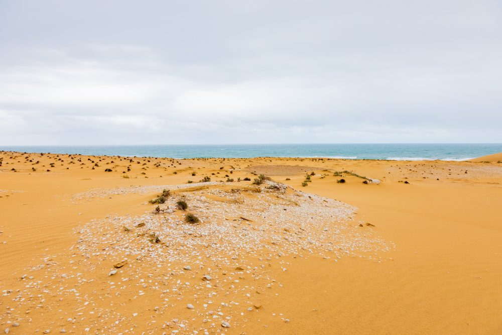 SANPARKS - Addo Elephant NP - Alexandria Dune Field Shell Middens-251016-42