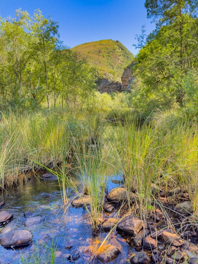 SANPARKS - Addo Elephant NP - Melkhoutboom Cave-251017-4