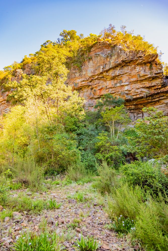 SANPARKS - Addo Elephant NP - Melkhoutboom Cave-251017-7