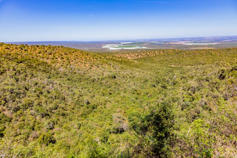 SANPARKS - Addo Elephant NP - Suurberg Pass-251017-49