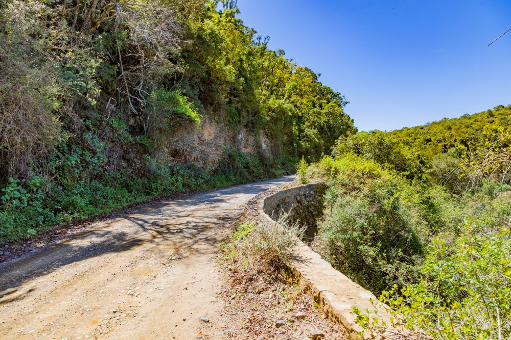 SANPARKS - Addo Elephant NP - Suurberg Pass-251017-54