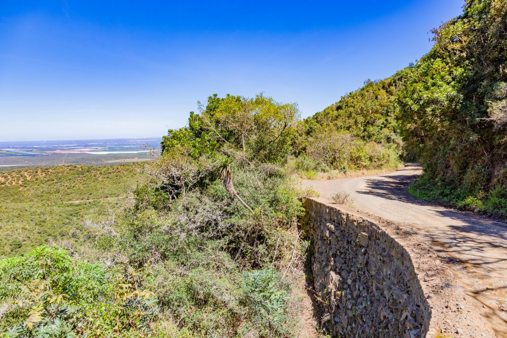 SANPARKS - Addo Elephant NP - Suurberg Pass-251017-61