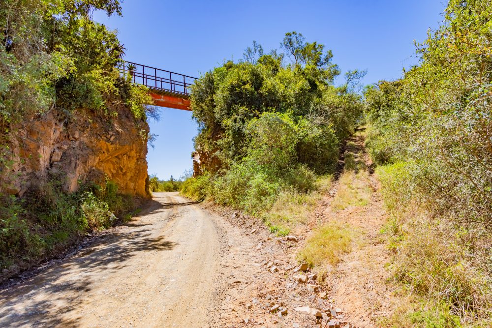 SANPARKS - Addo Elephant NP - Suurberg Pass-251017-64