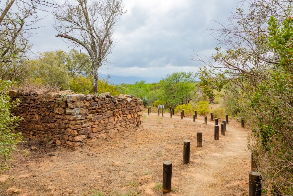 SANPARKS - Bontebok - Lang Elsies Kraal-251011-112