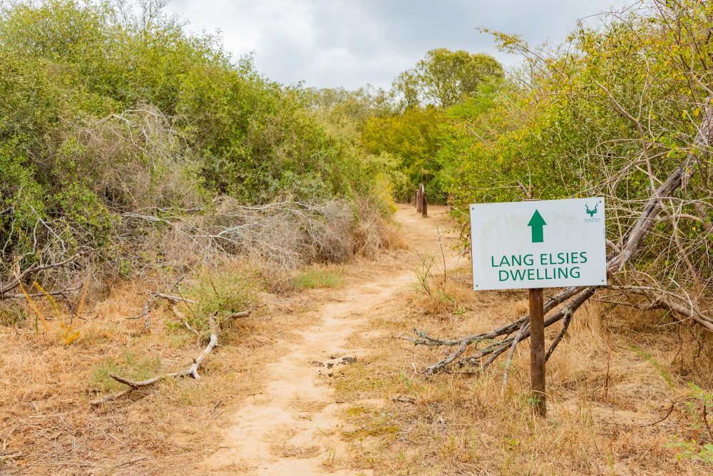SANPARKS - Bontebok - Lang Elsies Kraal-251011-47