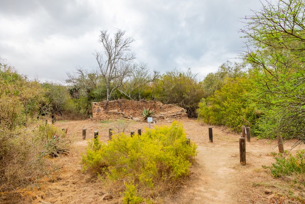 SANPARKS - Bontebok - Lang Elsies Kraal-251011-51