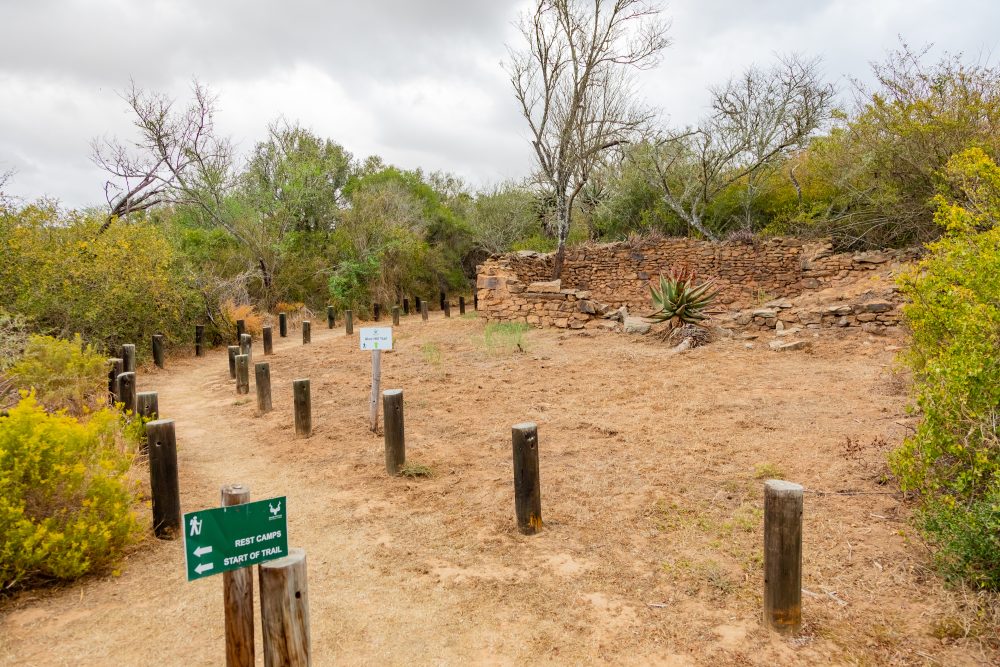 SANPARKS - Bontebok - Lang Elsies Kraal-251011-52