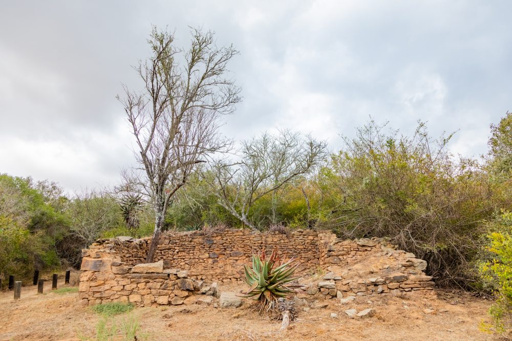 SANPARKS - Bontebok - Lang Elsies Kraal-251011-56