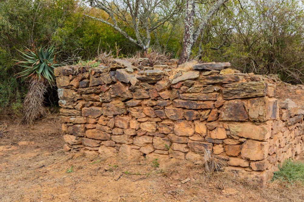 SANPARKS - Bontebok - Lang Elsies Kraal-251011-65
