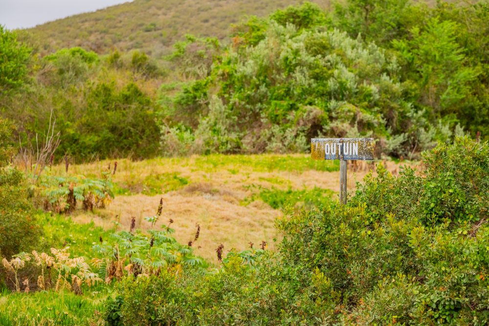 SANPARKS - Bontebok - Ou Tuin-251011-10