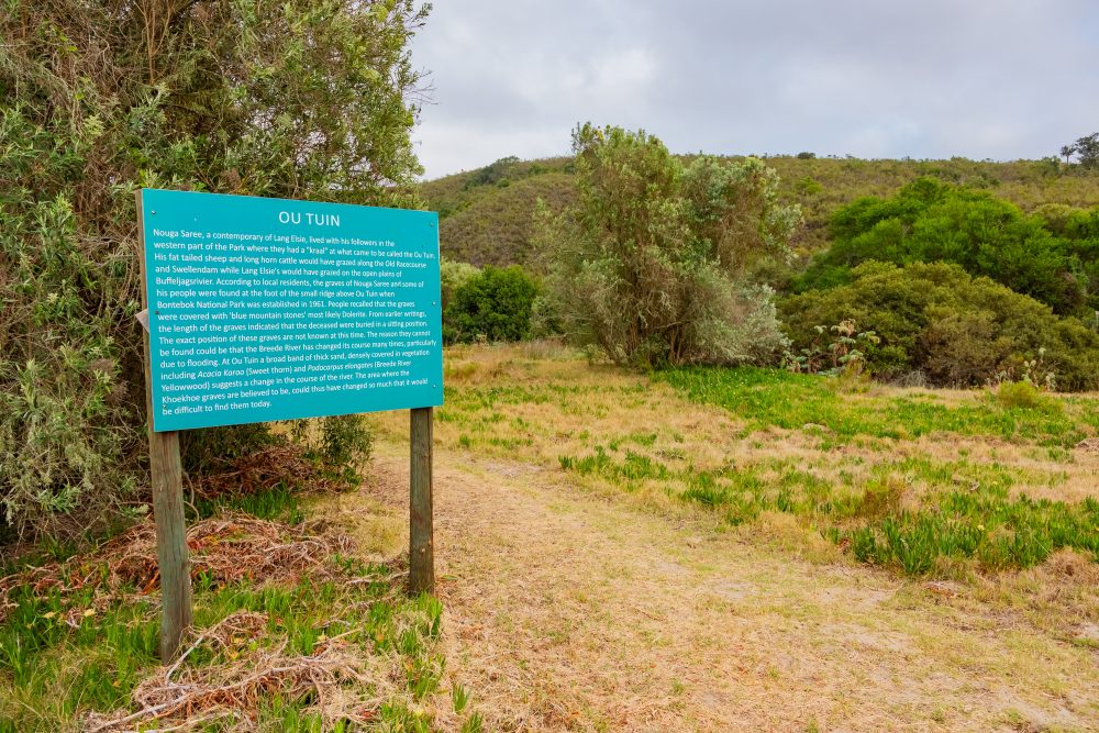 SANPARKS - Bontebok - Ou Tuin-251011-19
