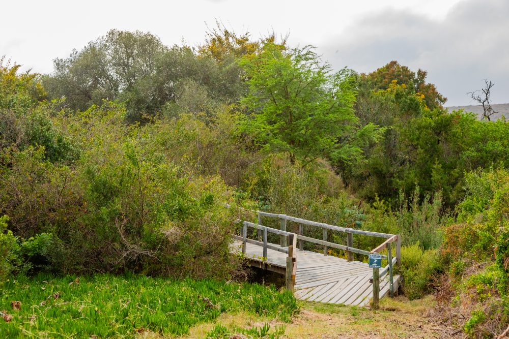 SANPARKS - Bontebok - Ou Tuin-251011-29