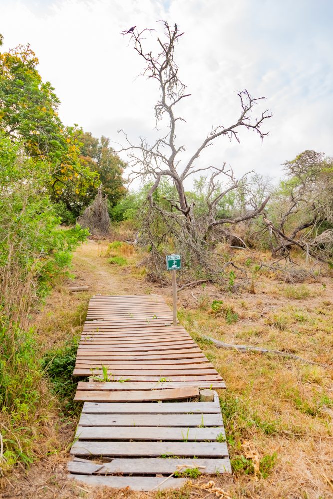 SANPARKS - Bontebok - Ou Tuin-251011-32