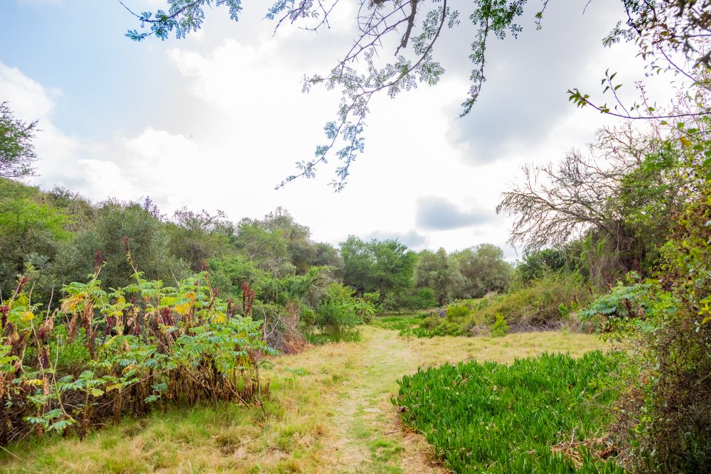 SANPARKS - Bontebok - Ou Tuin-251011-73