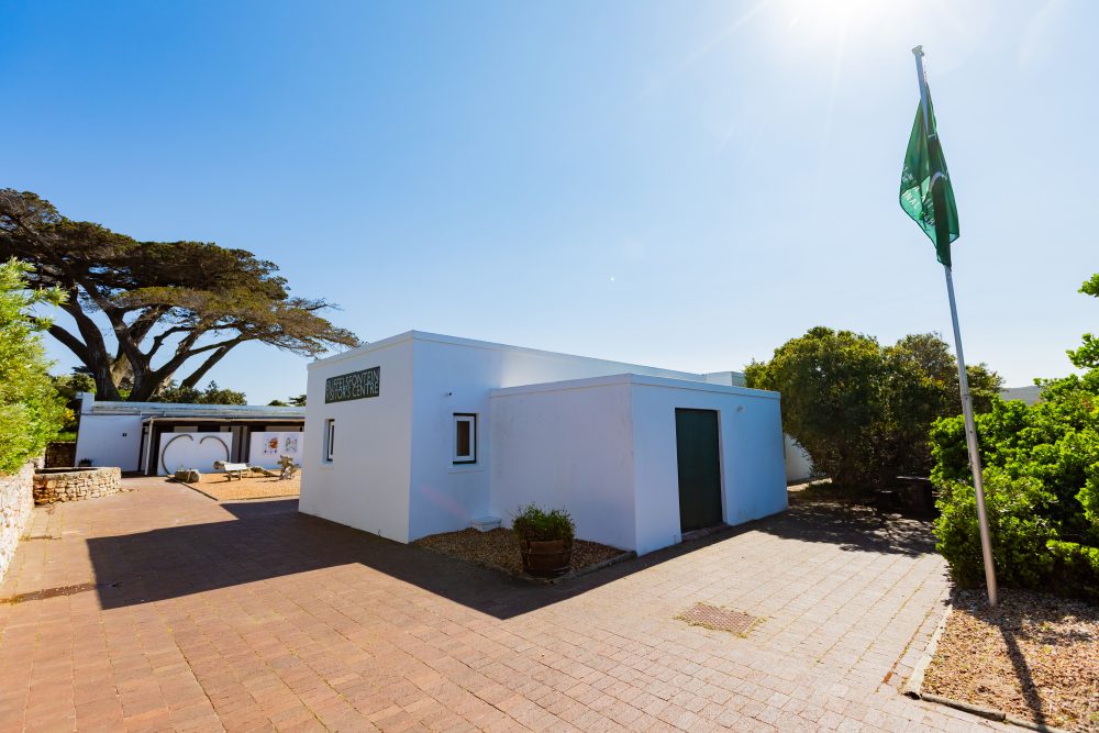 SANPARKS - CAPE - TMNP - Buffelsfontein Homestead-250908-5