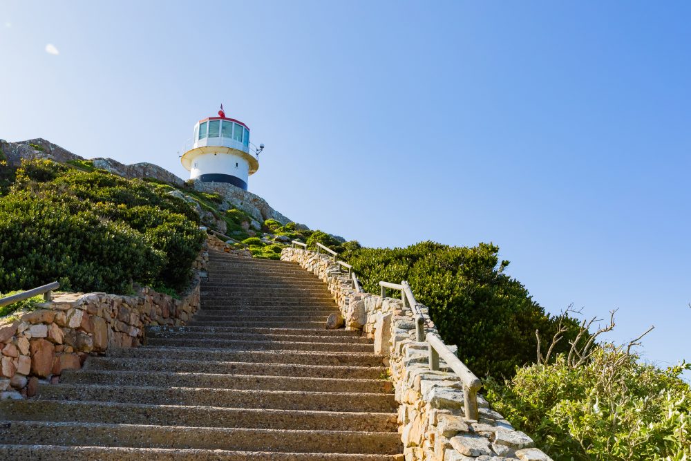 SANPARKS - CAPE - TMNP - Cape Point OLD Lighthouse-250908-5
