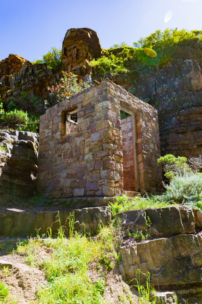 SANPARKS - CAPE - TMNP - Chapmans Peak-250925-161