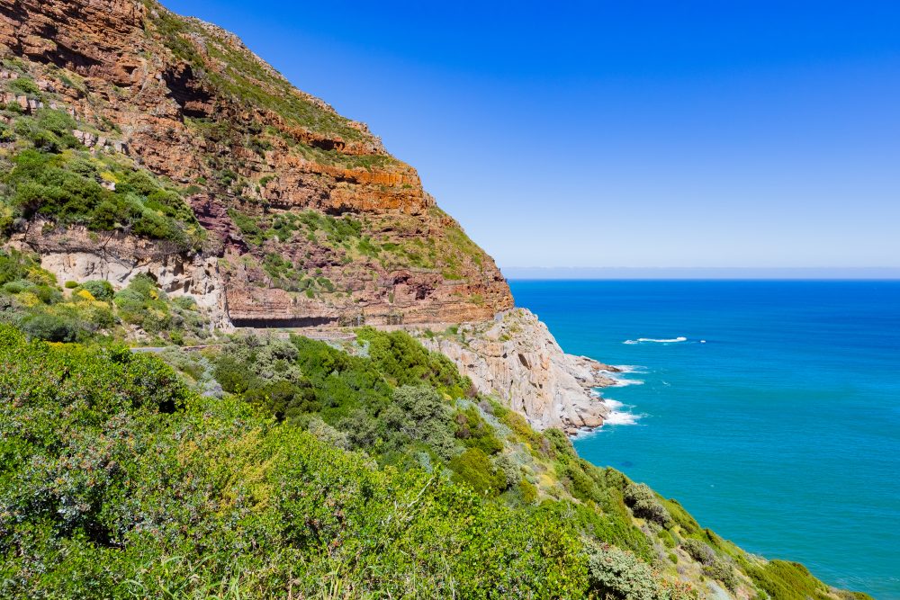 SANPARKS - CAPE - TMNP - Chapmans Peak-250925-2