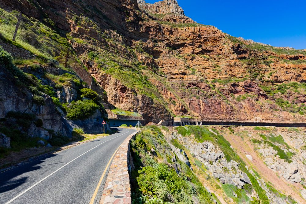 SANPARKS - CAPE - TMNP - Chapmans Peak-250925-42