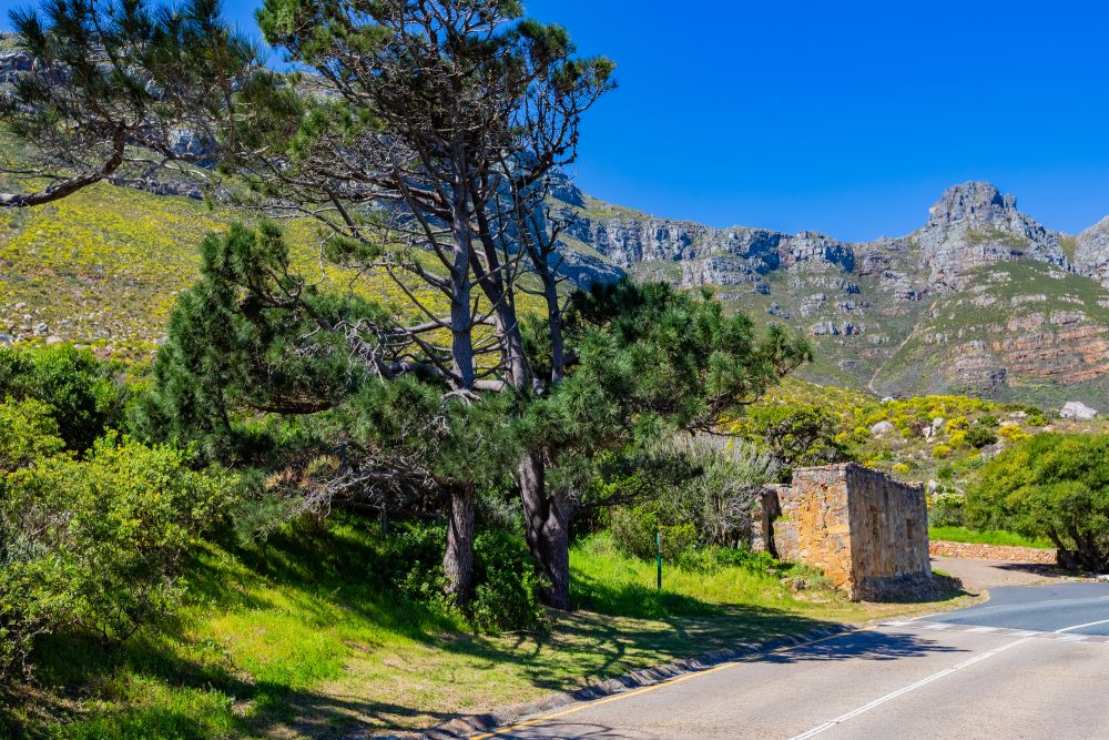 SANPARKS - CAPE - TMNP - East Fort-250925-74