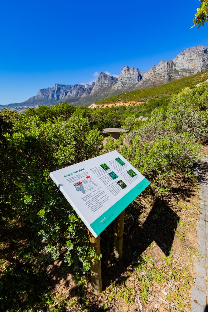 SANPARKS - CAPE - TMNP - Oudekraal Beach-250925-102