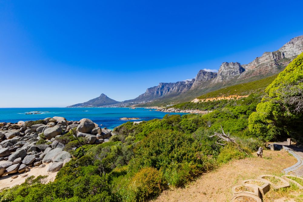 SANPARKS - CAPE - TMNP - Oudekraal Beach-250925-12
