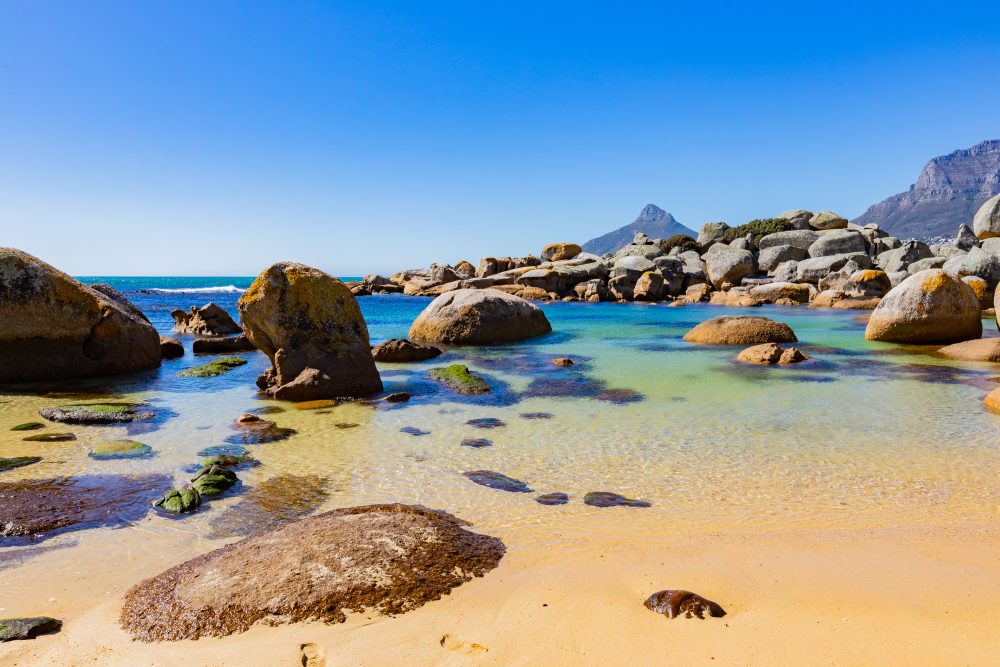 SANPARKS - CAPE - TMNP - Oudekraal Beach-250925-66
