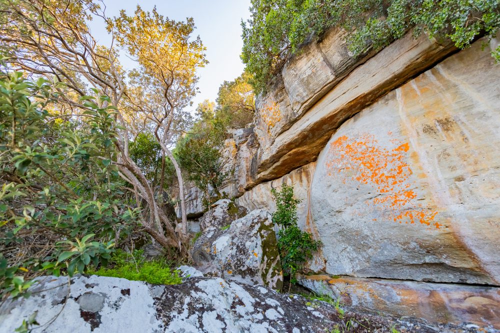 SANPARKS - CAPE - TMNP - Peers Cave-250925-27