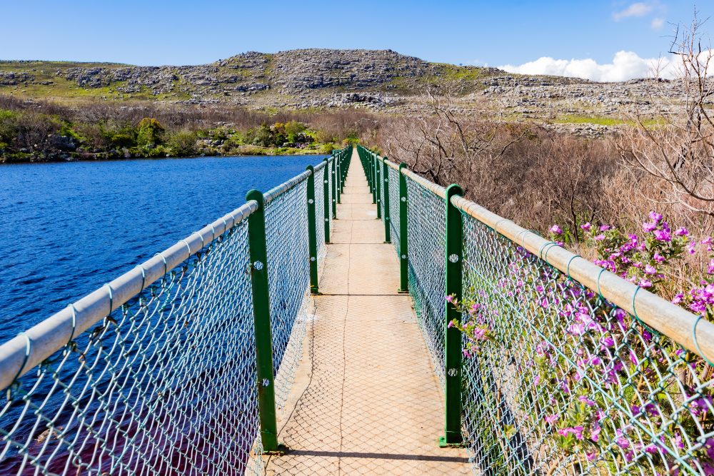 SANPARKS - CAPE - TMNP - Silvermine Dam-250922-102