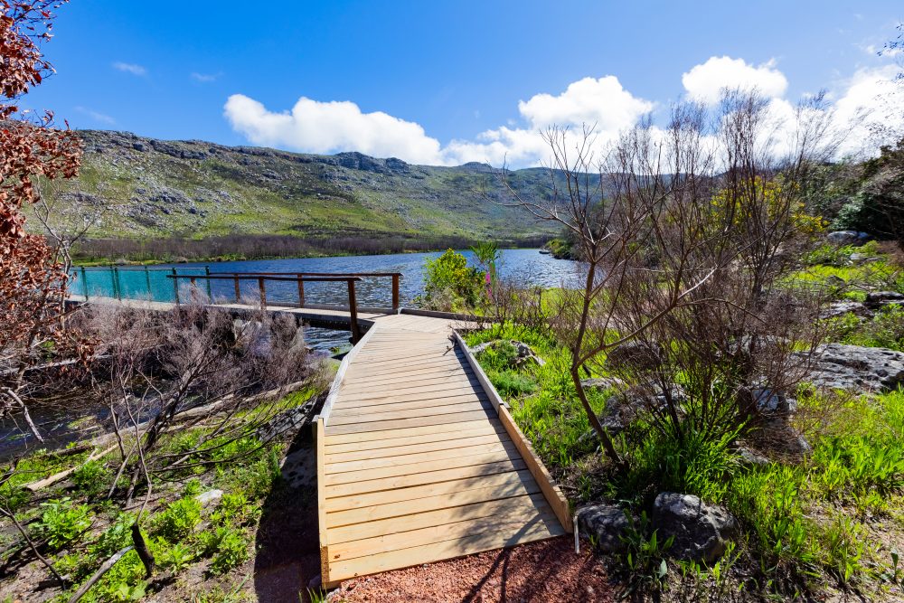 SANPARKS - CAPE - TMNP - Silvermine Dam-250922-3