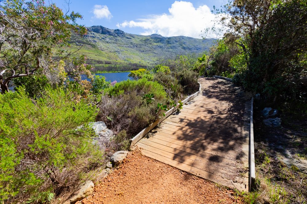 SANPARKS - CAPE - TMNP - Silvermine Dam-250922-41