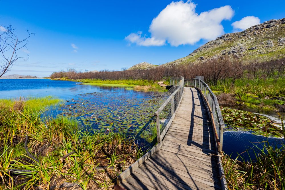 SANPARKS - CAPE - TMNP - Silvermine Dam-250922-65
