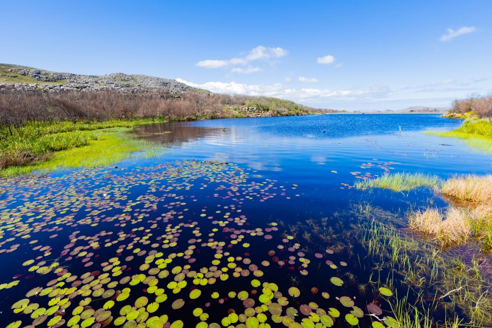 SANPARKS - CAPE - TMNP - Silvermine Dam-250922-80
