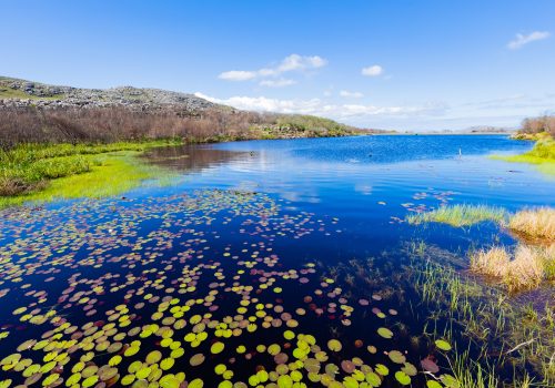Silvermine Dam