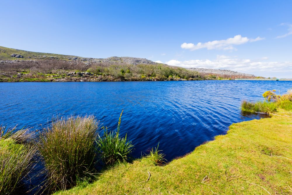 SANPARKS - CAPE - TMNP - Silvermine Dam-250922-86