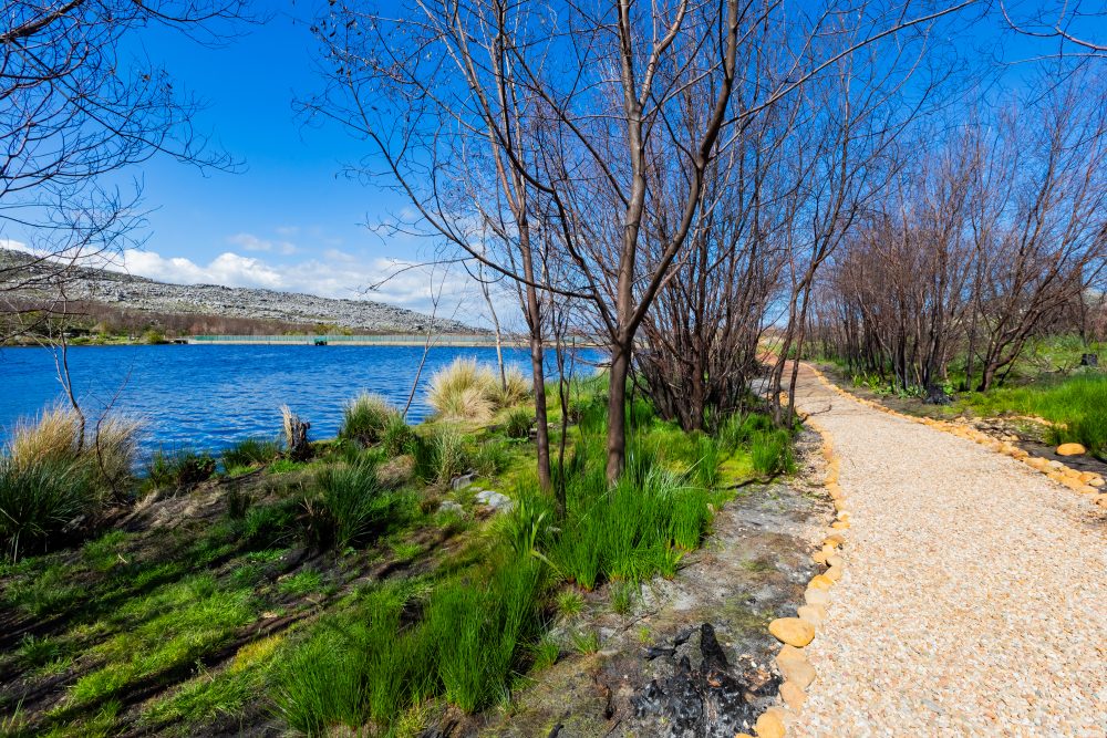 SANPARKS - CAPE - TMNP - Silvermine Dam-250922-90