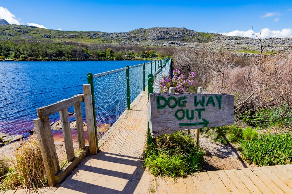 SANPARKS - CAPE - TMNP - Silvermine Dam-250922-98