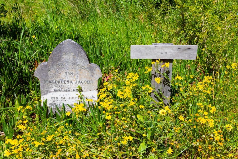 SANPARKS - CAPE - TMNP - Silvermine Homestead Graves-250922-14
