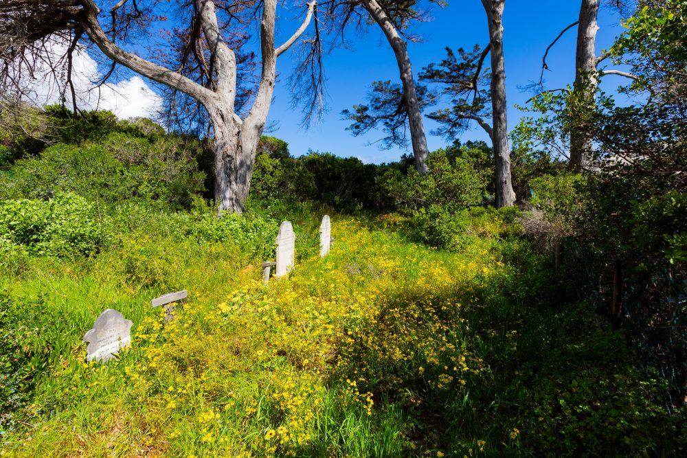 SANPARKS - CAPE - TMNP - Silvermine Homestead Graves-250922-2