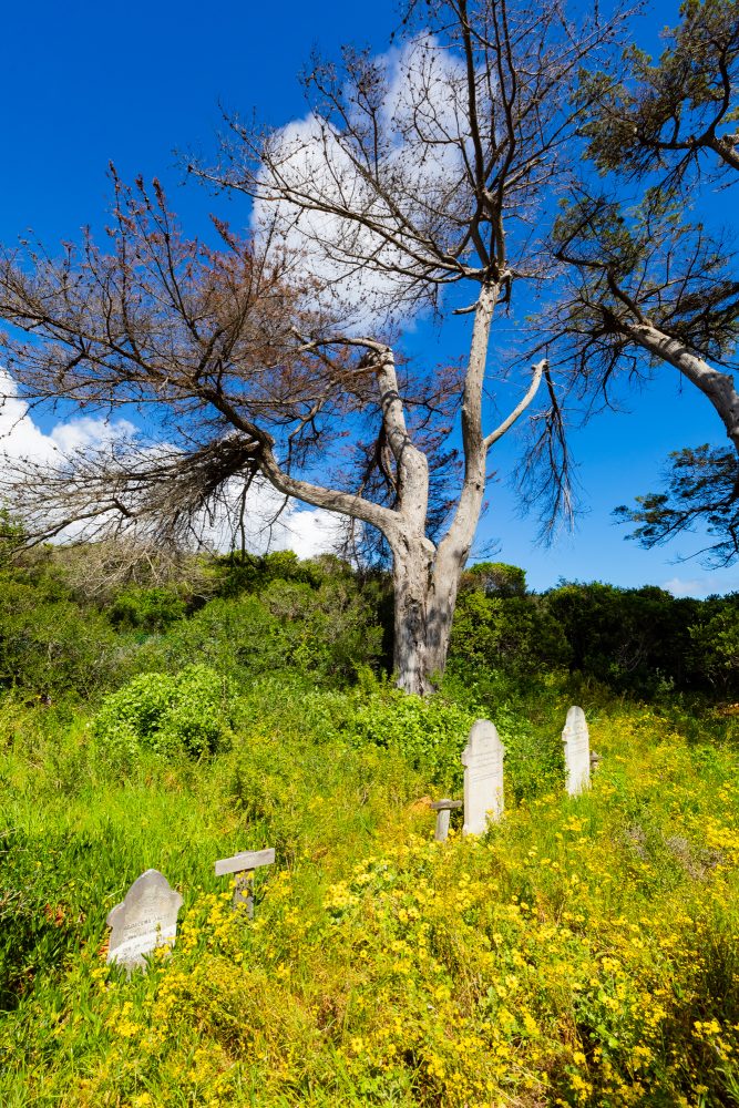SANPARKS - CAPE - TMNP - Silvermine Homestead Graves-250922-4