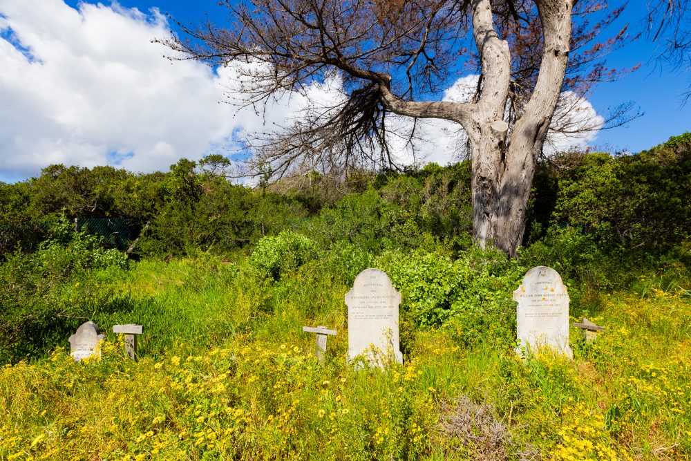 SANPARKS - CAPE - TMNP - Silvermine Homestead Graves-250922-8