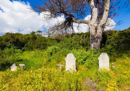 Silvermine Homestead Graves