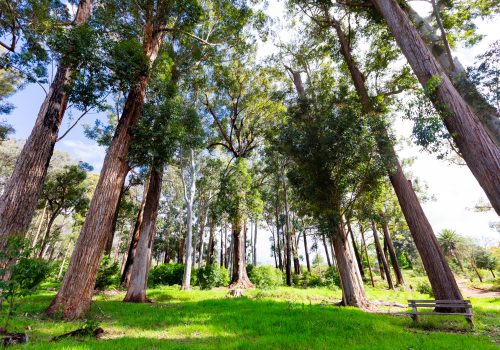 Tokai Arboretum