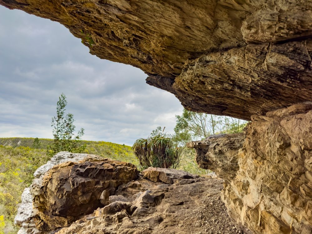 SANPARKS - Garden Route NP - Bushman Painting - Keurboom-251014-24