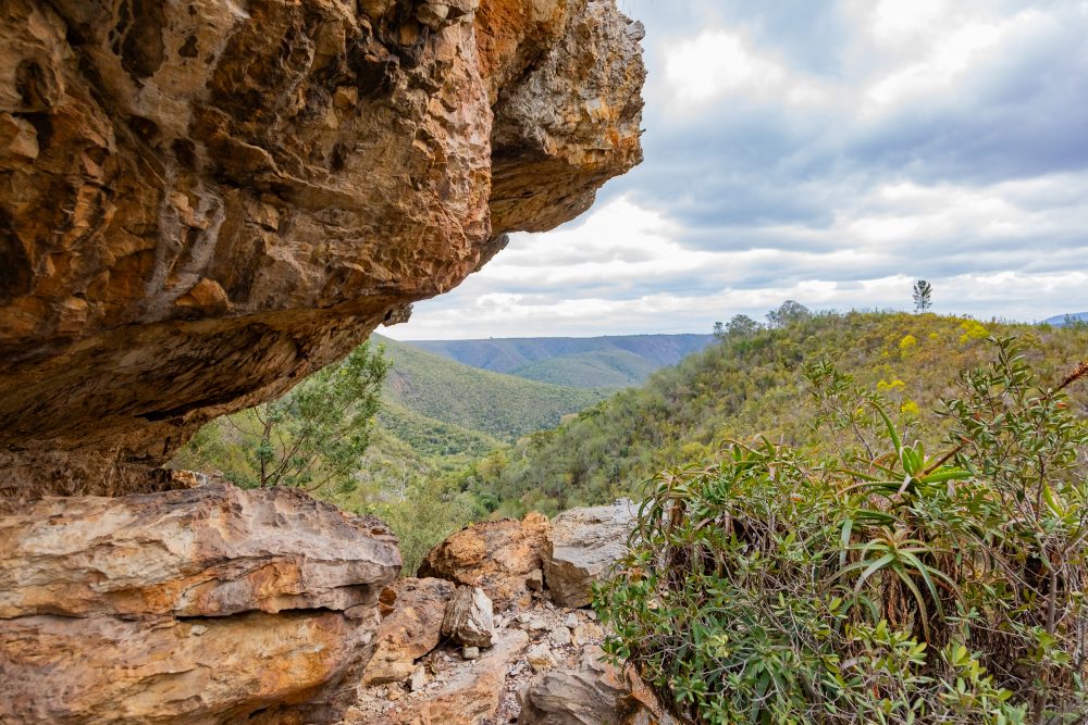 SANPARKS - Garden Route NP - Bushman Painting - Keurboom-251014-31