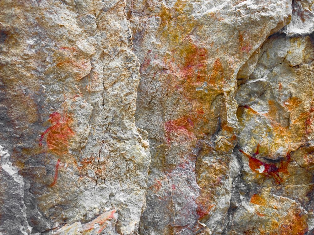 SANPARKS - Garden Route NP - Bushman Painting - Keurboom-251014-38